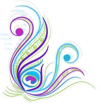 Colorful peacock feather with shadow effect. vector