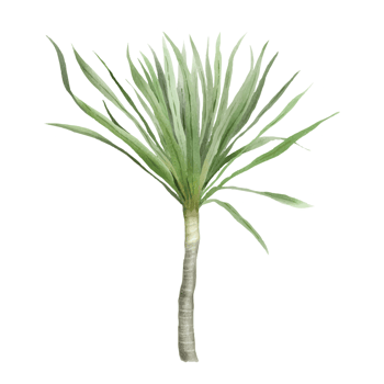 hand drawn tropical floral sticker collection png