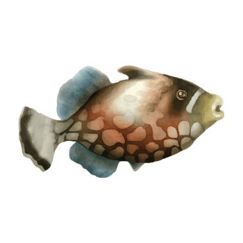 sea life watercolor sticker collection png