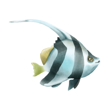 sea life watercolor sticker collection png