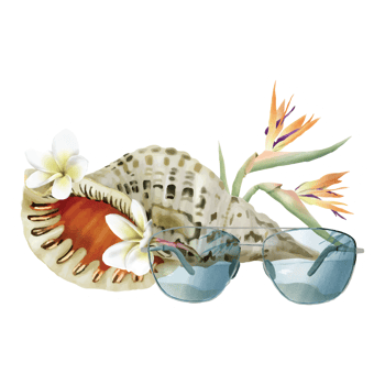 hand drawn tropical floral sticker collection png