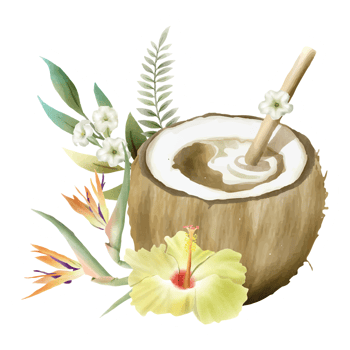 hand drawn tropical floral sticker collection png