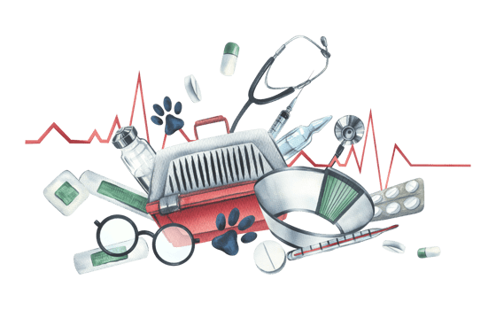 Veterinary equipment. Watercolor illustration. . For the design and decoration of clinics, hospitals, first-aid posts, pharmacies for animals. Horizontal composition png