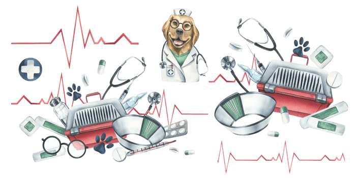 Veterinary set with doctor dog, pet carrier, medicines. Watercolor illustration, hand drawn. Isolated objects, for the design of clinics, hospitals, pharmacies, medicines. png