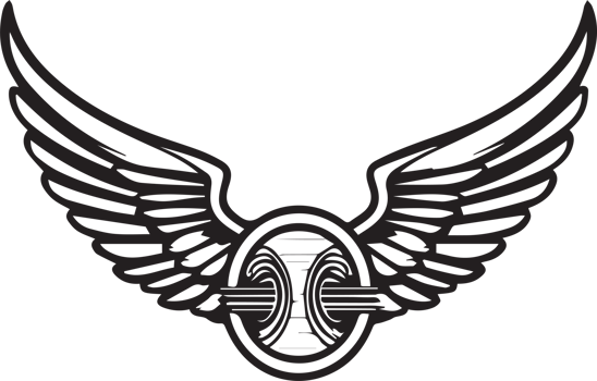Hand Drawn vintage wings logo in flat style png