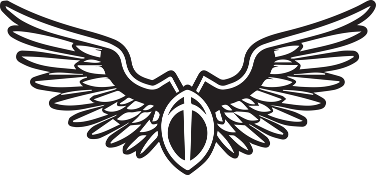 Hand Drawn vintage wings logo in flat style png
