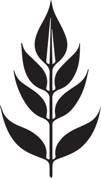 Hand Drawn vintage leaf and flower logo in flat style png