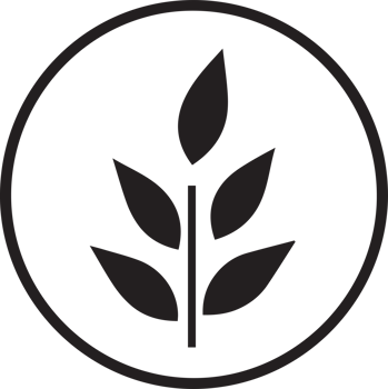 Hand Drawn vintage leaf and flower logo in flat style png