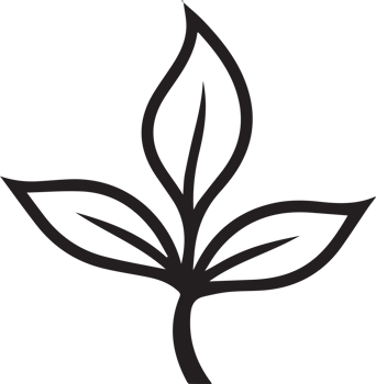 Hand Drawn vintage leaf and flower logo in flat style png