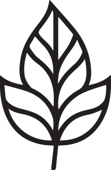 Hand Drawn vintage leaf and flower logo in flat style png