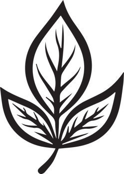 Hand Drawn vintage leaf and flower logo in flat style png