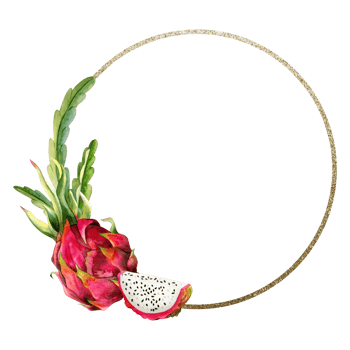 Gold round frame with watercolor pink dragon fruit slices and cactus leaves for stickers, sale coupons or wedding invitation png