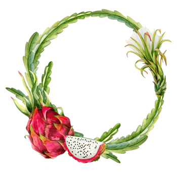Botanical round frame with watercolor pink dragon fruit slices, flower and cactus leaves for stickers, sale coupons or wedding invitation png