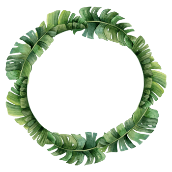 Tropical palm leaves round frame wreath watercolor illustration for thank you stickers, sale coupons or summer wedding invitation png
