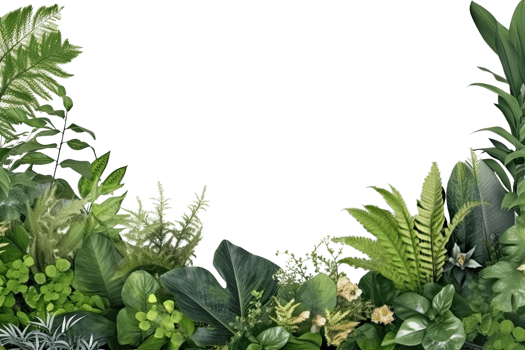 Forest leaf border illustration for fall, card, or banner. png