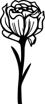 Rose flower black line vector illustration