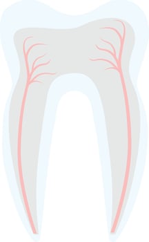 Tooth structure decoration design treatment stomatology vector