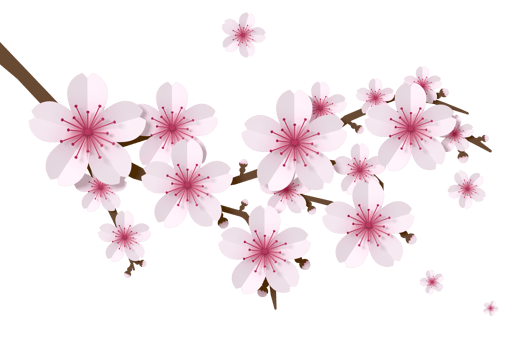 Sakura flower paper style, 3d rendering png