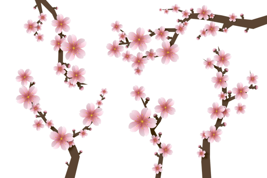 Sakura flower paper style, 3d rendering png