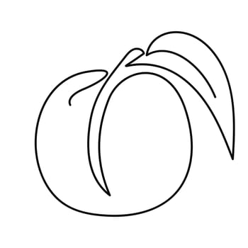 Peach tropical fruit illustration line art style vector