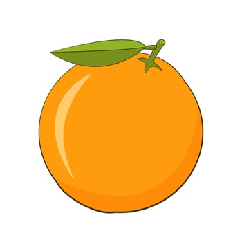 Fresh orange icon vector