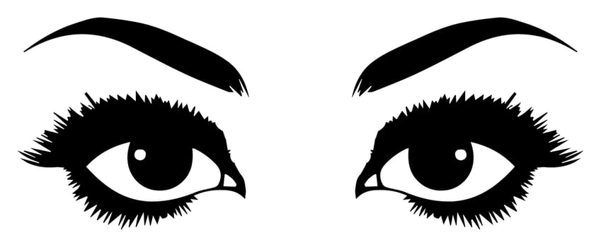 pair of eyes with eyebrows eyelashes vector graphic resources