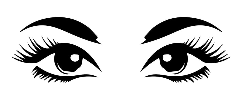 pair of eyes with eyebrows eyelashes vector graphic resources
