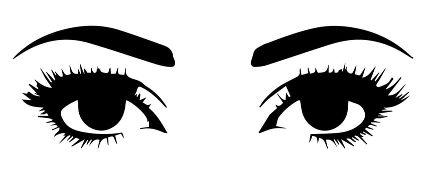 pair of eyes with eyebrows eyelashes vector graphic resources