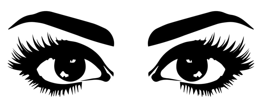 pair of eyes with eyebrows eyelashes vector graphic resources