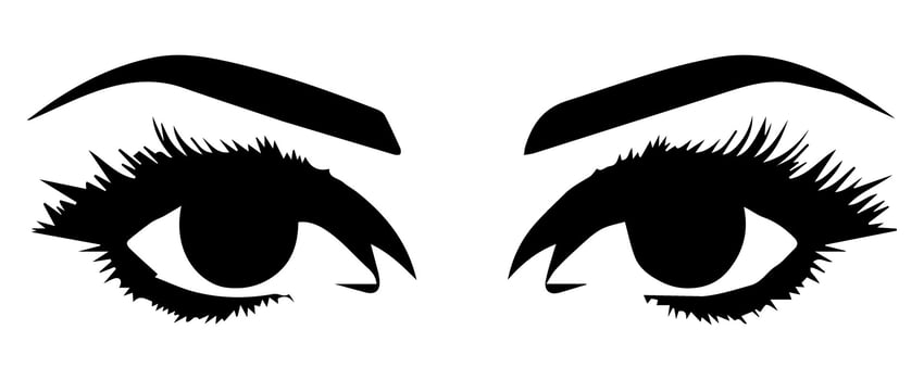 pair of eyes with eyebrows eyelashes vector graphic resources