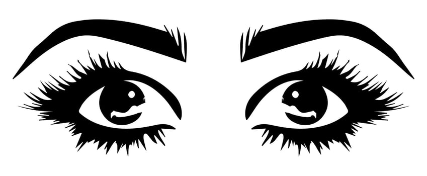 pair of eyes with eyebrows eyelashes vector graphic resources