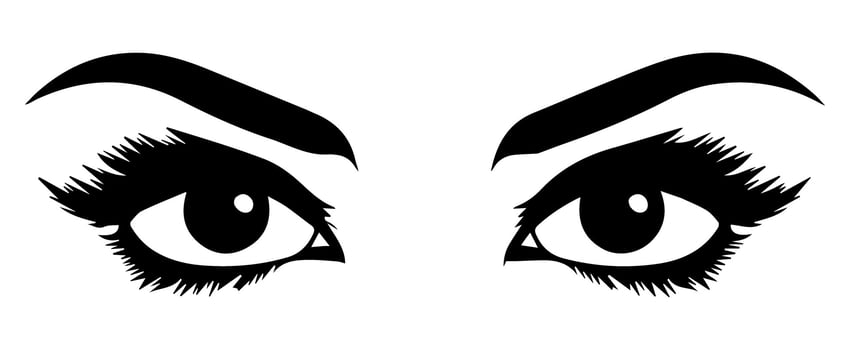 pair of eyes with eyebrows eyelashes vector graphic resources