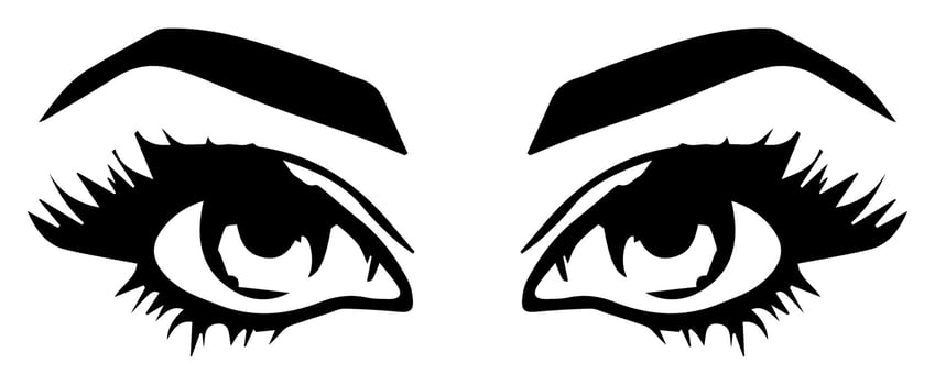 pair of eyes with eyebrows eyelashes vector graphic resources