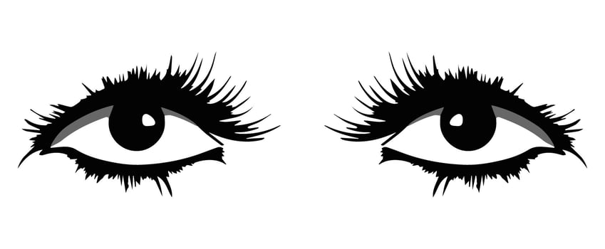 pair of eyes with eyebrows eyelashes vector graphic resources