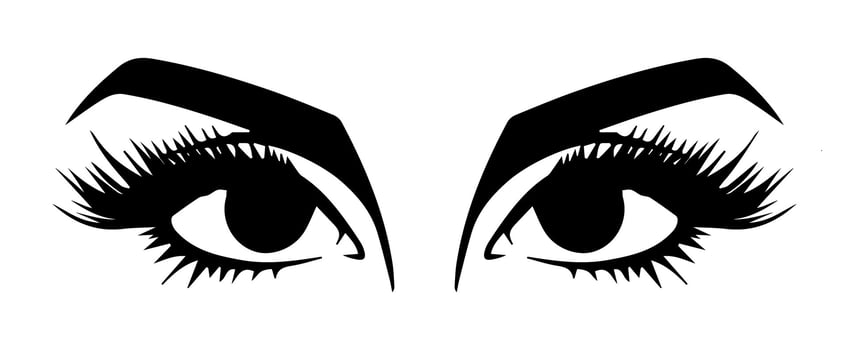 pair of eyes with eyebrows eyelashes vector graphic resources