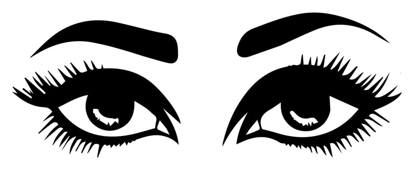 pair of eyes with eyebrows eyelashes vector graphic resources