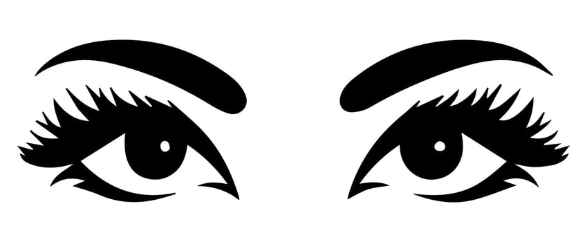 pair of eyes with eyebrows eyelashes vector graphic resources