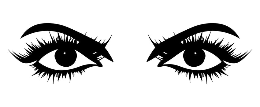 pair of eyes with eyebrows eyelashes vector graphic resources