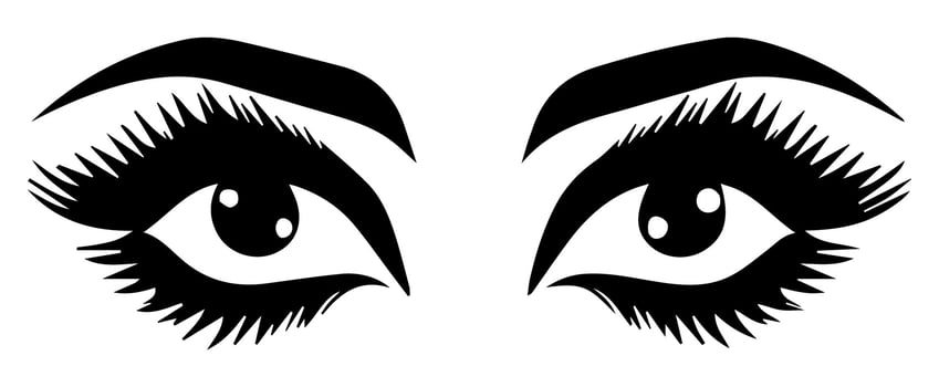 pair of eyes with eyebrows eyelashes vector graphic resources