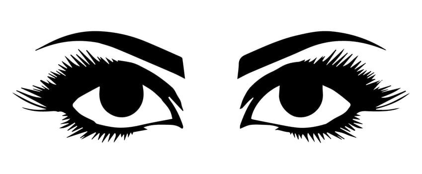 pair of eyes with eyebrows eyelashes vector graphic resources