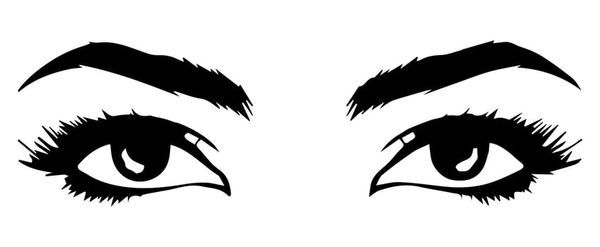 pair of eyes with eyebrows eyelashes vector graphic resources
