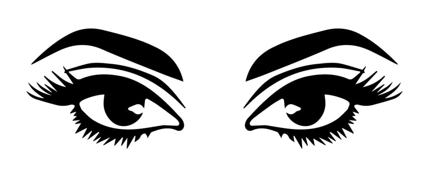 pair of eyes with eyebrows eyelashes vector graphic resources
