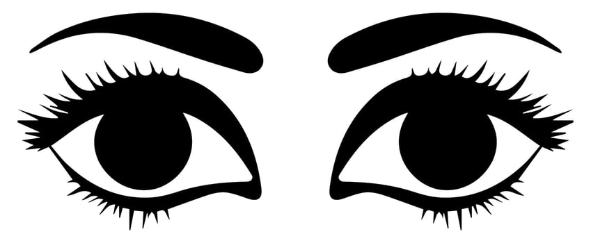 pair of eyes with eyebrows eyelashes vector graphic resources