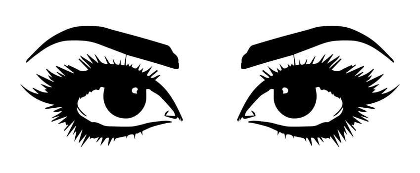 pair of eyes with eyebrows eyelashes vector graphic resources