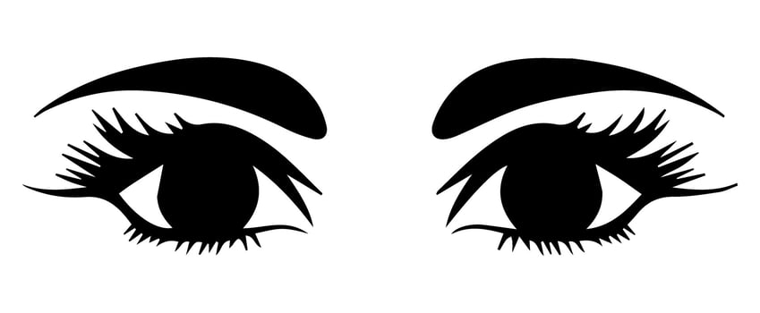 pair of eyes with eyebrows eyelashes vector graphic resources