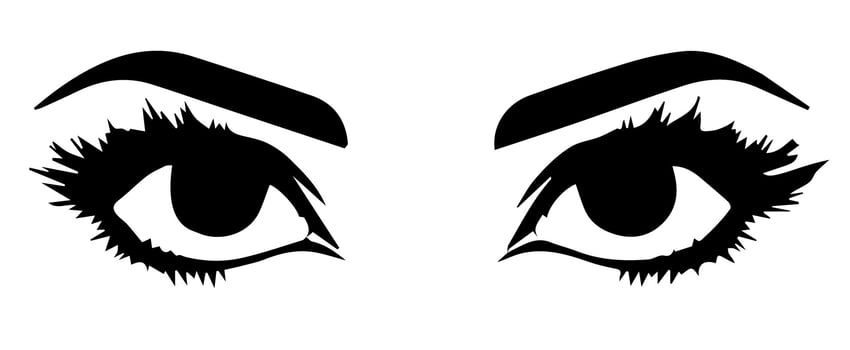 pair of eyes with eyebrows eyelashes vector graphic resources