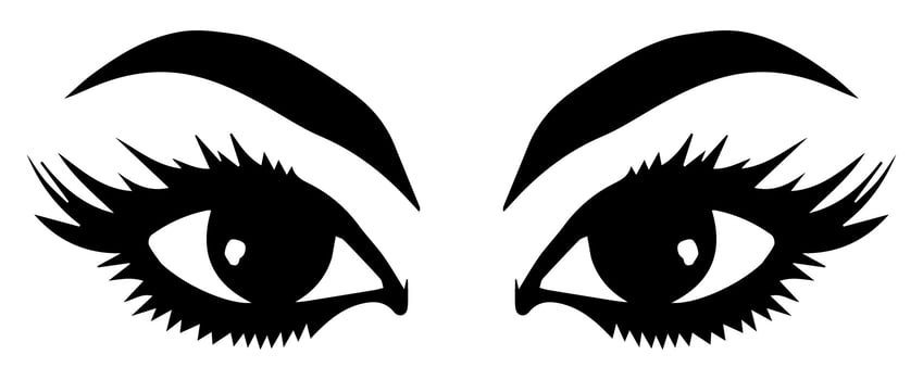 pair of eyes with eyebrows eyelashes vector graphic resources