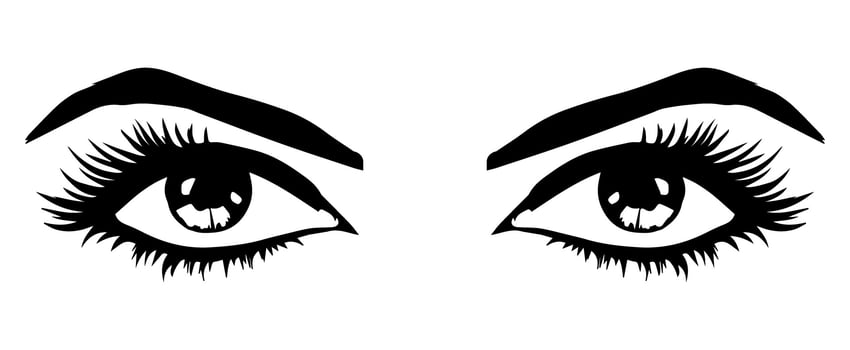 pair of eyes with eyebrows eyelashes vector graphic resources