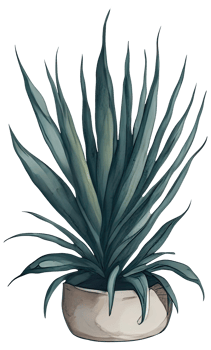 Watercolor House plant. png