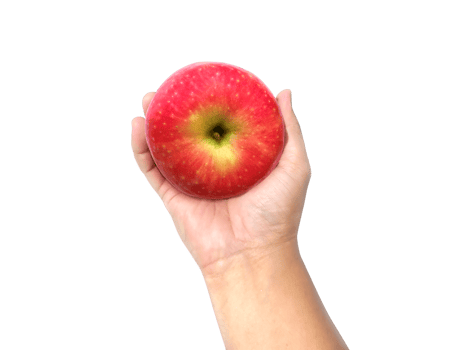 apple in hand, transparent background png